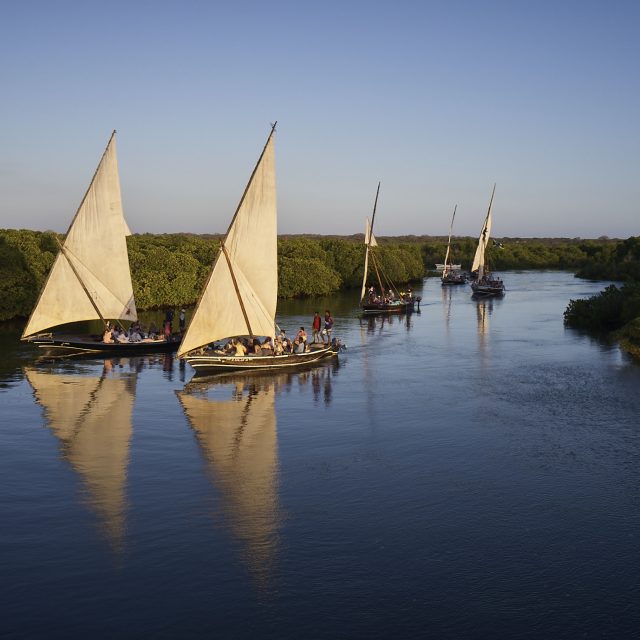 Five dhows sailing at Lamu archipelago